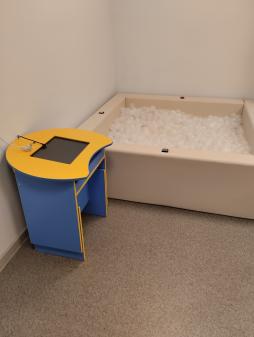 интерактивная панель и сухой бассейн